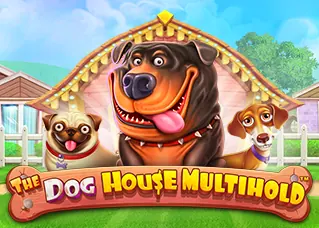 huaydragon รีวิว The Dog House Multihold ทดลองเล่นฟรี
